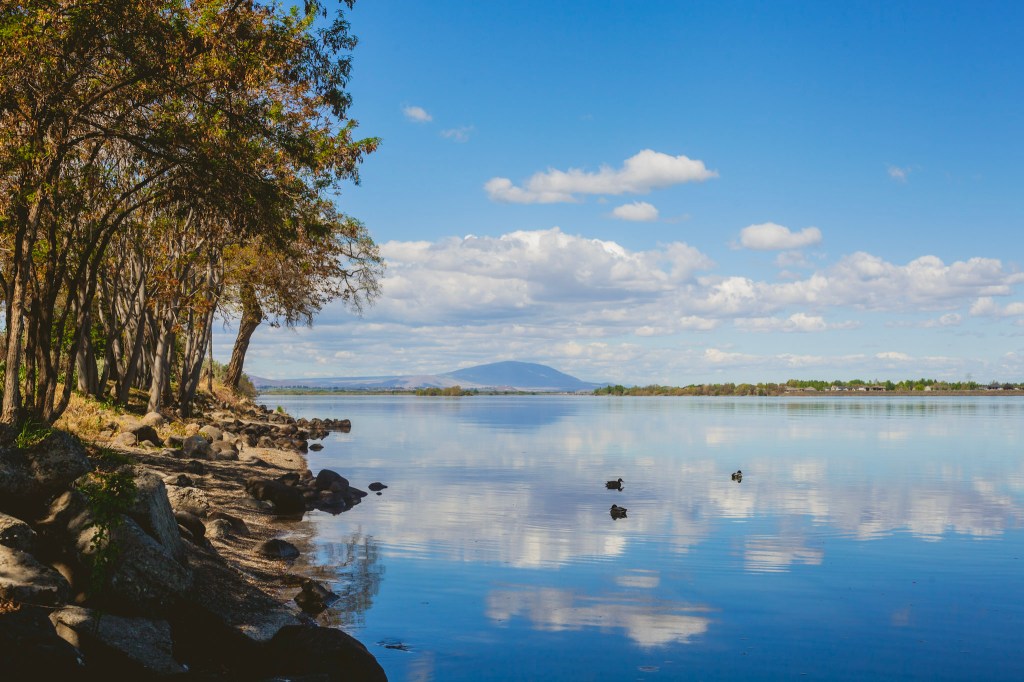 becoming visible to myself&nbsp;first