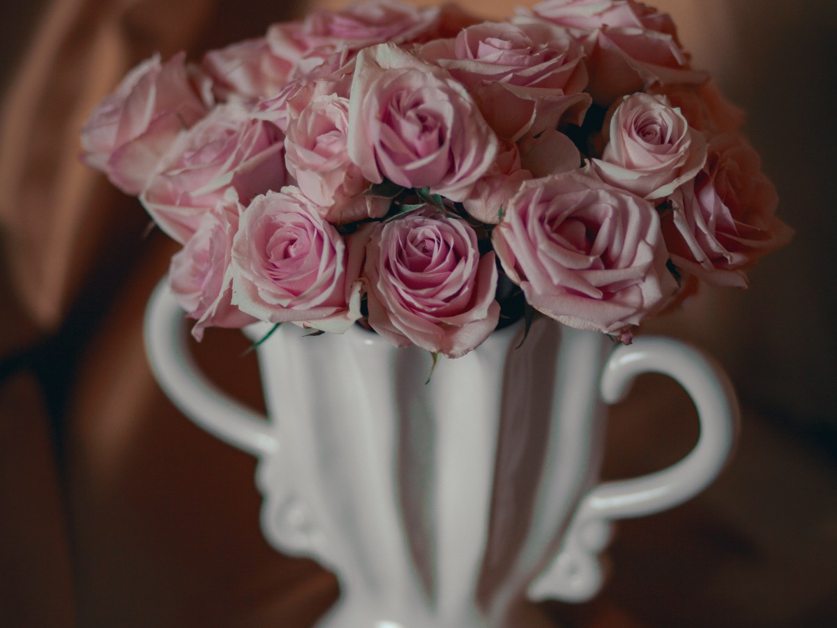 if i were guaranteed not to&nbsp;fail